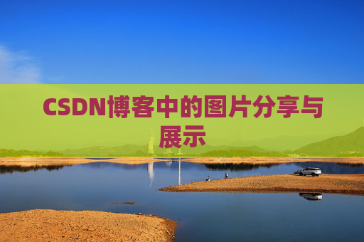 CSDN博客中的图片分享与展示